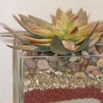 Electrical Installations